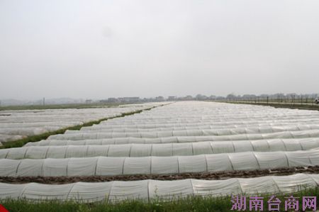 �����ػ������еͲ��������Ŀ��