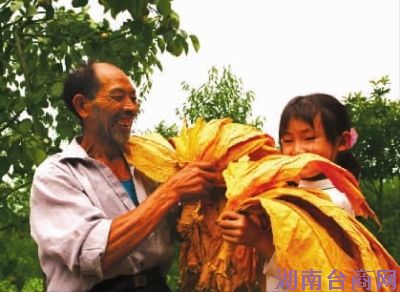 �ջ��ϲ�á� ��άԾ ��