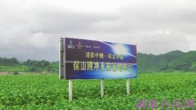 ��������������ʡ��ɽ���ڳ��ص���Ҷ�������ء� �տ˾� ��