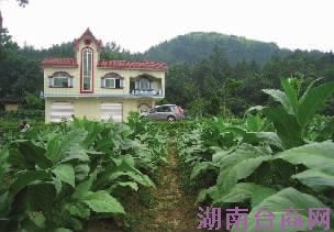 ����֮��ɣֲ�عٵ�ƺ��ƽͷ�����ũ�¾ӡ� ������ ��