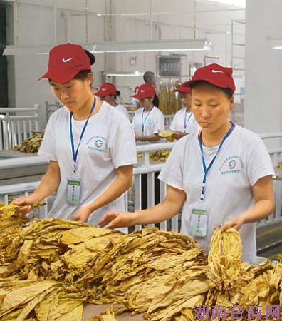 רҵ�ּ�Ա���ڽ���ɢ�̷ּ���