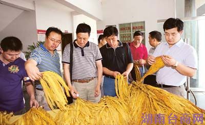 ������������ص�Ԫ��վ��ͬ�����չ���������ͬͳһ�չ���׼����ͬ�ල�չ���������ͬ������Ҷ������