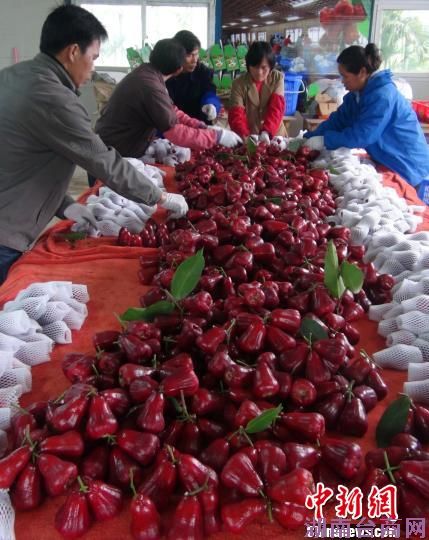 �麣����ϲ�����̨��ר�Ҽ�������ӹ���ҵ��