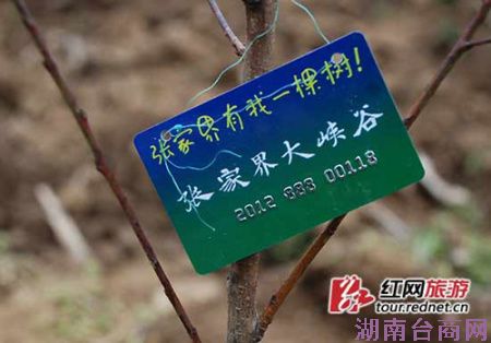 ( ������Ӵ������Լ������ˡ�)