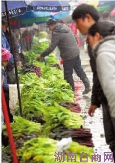 3��7�գ���ɳ�������߲������г�����ͦ�Ĳ˼���������ԥ���� ��־Զ/��