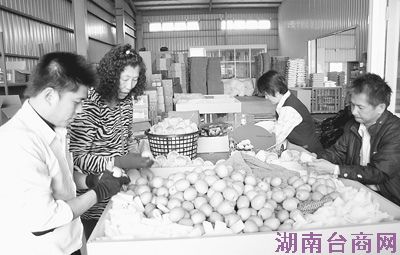 ����̨�壺����ũ��ҵ�ġ�����ת������ͼ��