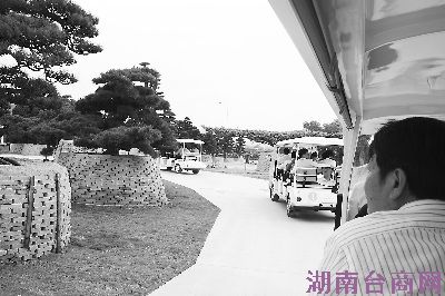 海峡花卉集散中心:两岸花农共觅“美丽”商机