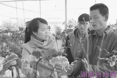 ͼ��̨�廨ũ����������Ʒ��