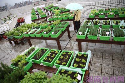 ̨���ơ���԰���С��������ݶ��ֲ�磽�ѹ��