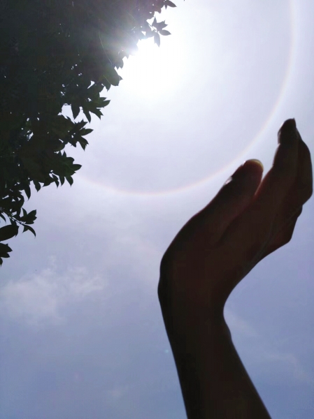 75531526232833796 (1).jpg