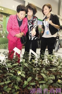 ����ɽ����Ů�仨���� ����̨�����ũҵ�Ƽ�