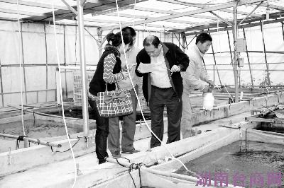 ̨�������:��������ģ���Ľ�����ֳ����