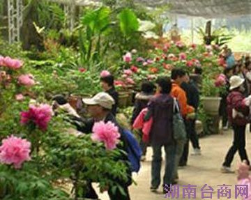 ̨����Ͷ��ĵ������������ Ʒ�ֶ������ο�פ��