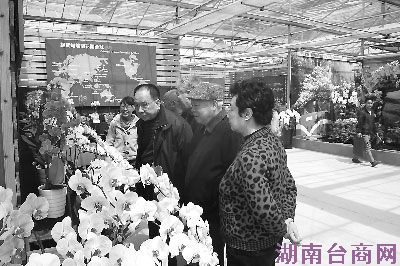 漳浦台湾农民创业园创办5周年结出丰硕果实