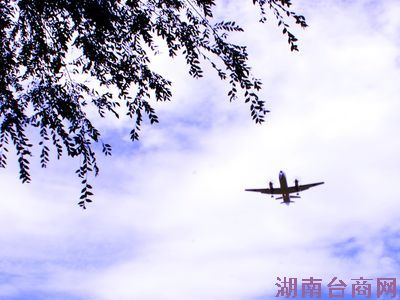 ̨ý��̨��6�¿�����������ֱ����