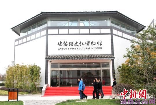 ̽��̫�֡����Ļ�����ݡ�����̨��רע������