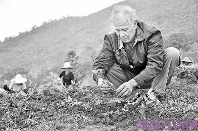 �˹����ڲ�԰��