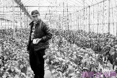 ֻ������½��������ׯ��ҫ���츣����ũ��