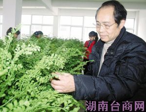 ���ͼƬ�鿴��һҳ