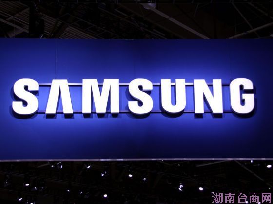 ���ܲƱ���ʾ��������ṹ��������ʵ������һ������ȱ�ݡ�