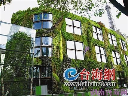 免费送果苗推广绿建筑 台商姐弟心系厦门绿生活