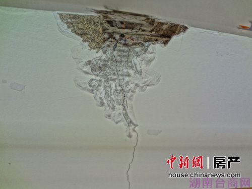 �����̹�԰����ǽ�����ѷ�ҵ�����ɴ氲ȫ����