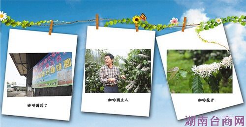 ���Ȼ��� һ������