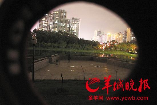 ����2012��1��7�գ�̨�̲�ĳ�����ڶ�ݸ��ַ�ɽ��԰�����ƽ̨�����ѻ�ĳ�������Լ������ɱ���Լ�