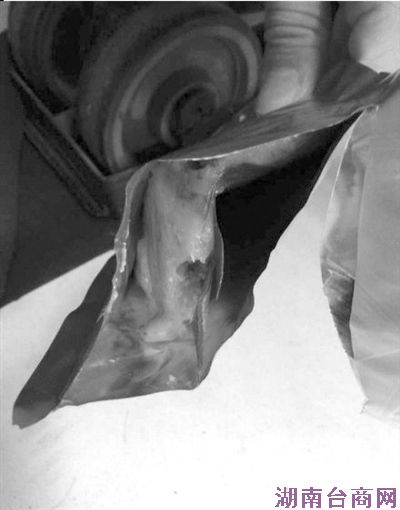 ��ɳ�տ�����ɼ���Ҷ��