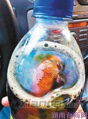 Ůʿ�����ƿ���ָ��ý���ʬ�峧���ѽ��ͣ�ͼ��