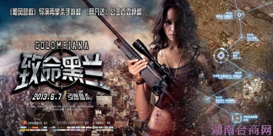 《致命黑兰》电影海报横版