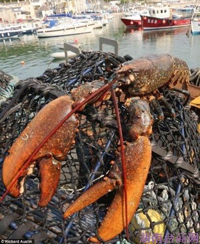 Ӣ��������Ϻ�ܼ����� �����й���ȥ����Ϻ/ͼ