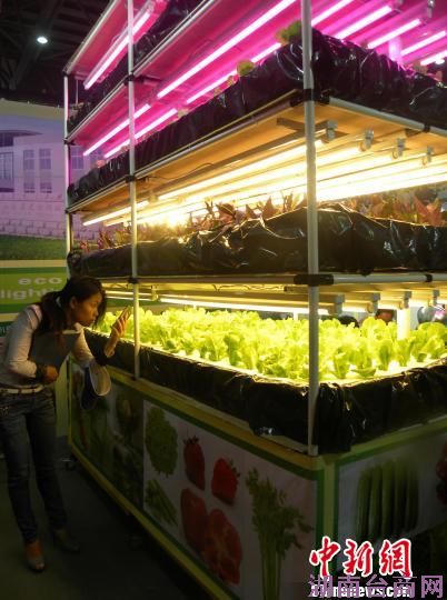 台商携“智”闯大陆盼两岸服贸协议早实施