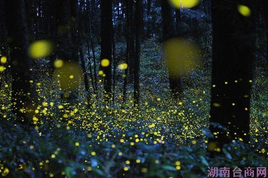 ����Ӱ����������⸴��