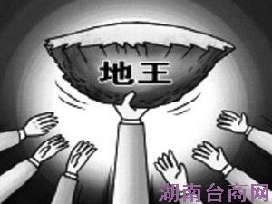 卓越集团去年销售102亿 豪掷124亿成深圳年内新地王
