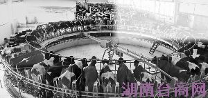 ����Ʒ��ҵ��Ϸ����