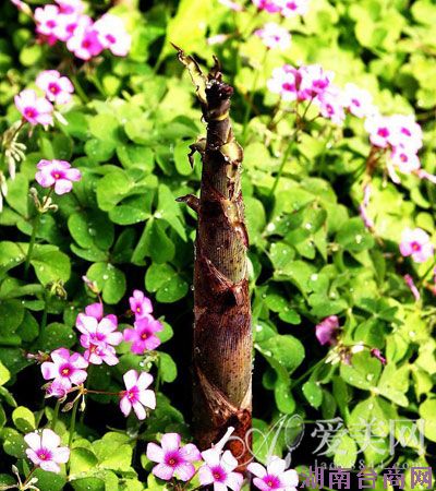  �������ʴ��۴��� Ӫ����ֵ�쳣��