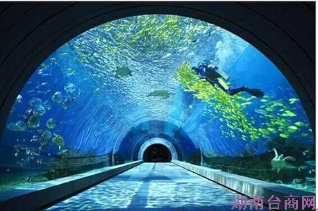 �����Ҹ��±��䣬�ӡ�һվʽ�ȼ١���ʼ