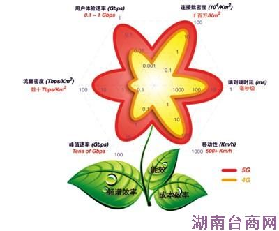 5G�����й��ƶ����������������