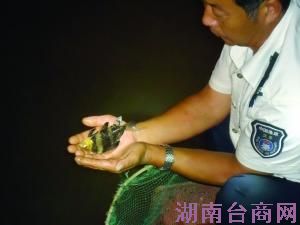 ����Ϊ��Ů�ܳ��Ͻ��ʷǷ����̱����� ϵ��������