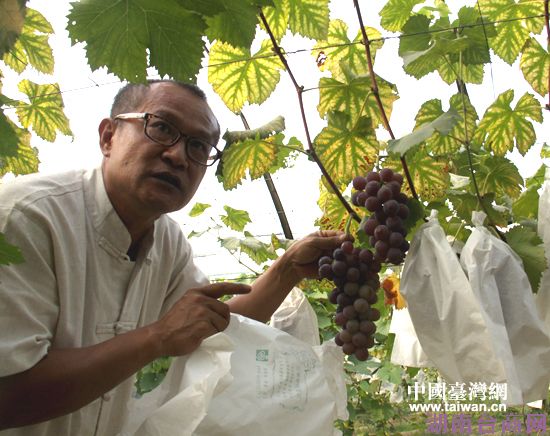 ũׯׯ���ƹ������������߽�����������Ʒ�֡�
