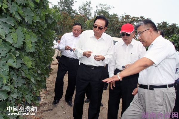 ���������������ȡ���ѾƲ�ҵ��չ����Ľ��ܡ�