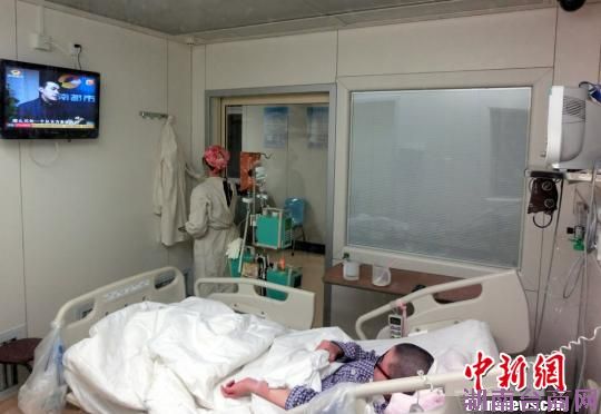 ̨������Ѫ��ϸ���������ϰ�Ѫ��Ů��