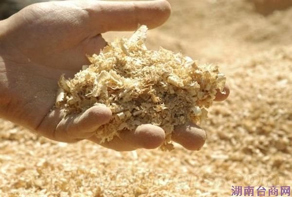 经济学角度来说 经济学角度来说