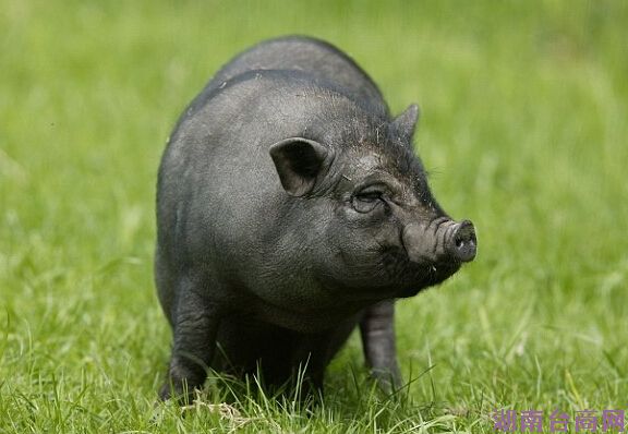 �ʱ���������11��26��һ