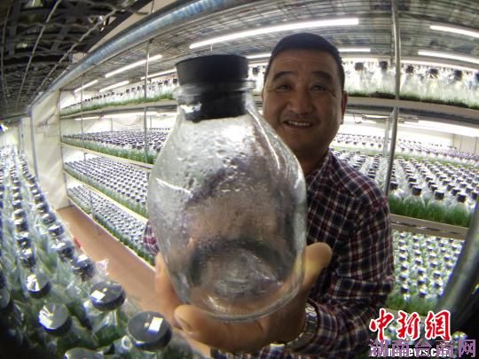 ̨����ɽ����ʮ���ꡰ����硱�ػ�����