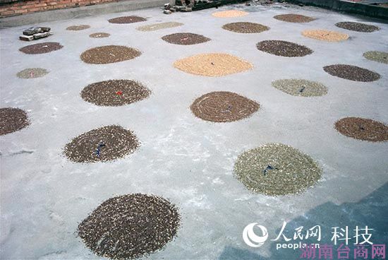 ����С���ɫ���������� �����غ����ӽ���ݮ