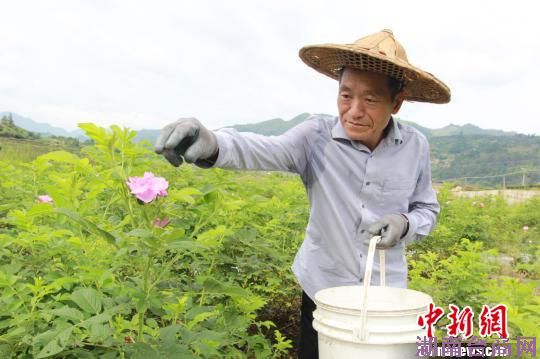 ̨�������Ͼ���ˮҥ�ġ�õ��֮Լ��