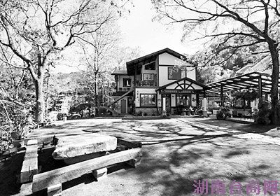 ̨�塰���͡���˵��̬���£��������ܱ����ӣ�ͼ��