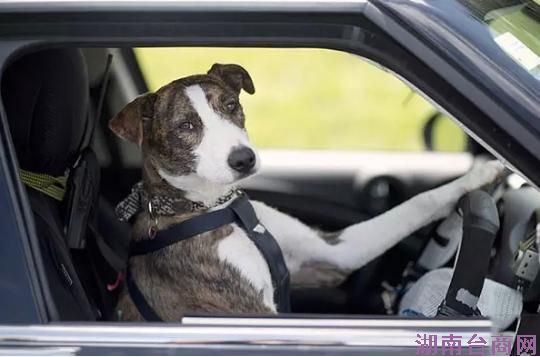 盘点世界互联网大会那些参会的智能硬件